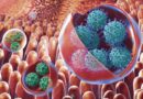 Ученые Национального института здравоохранения обнаружили, что ротавирусные инфекции могут передаваться через слюну
